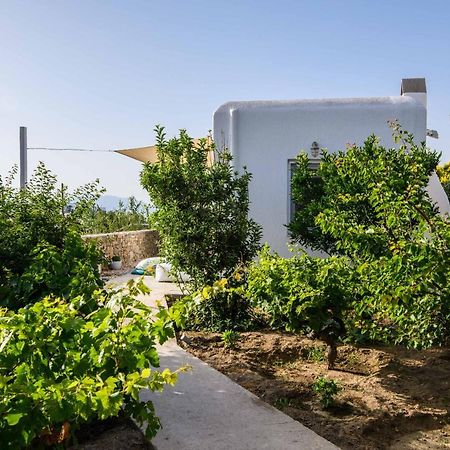 Live & Dream Villa Mykonos Town Екстериор снимка