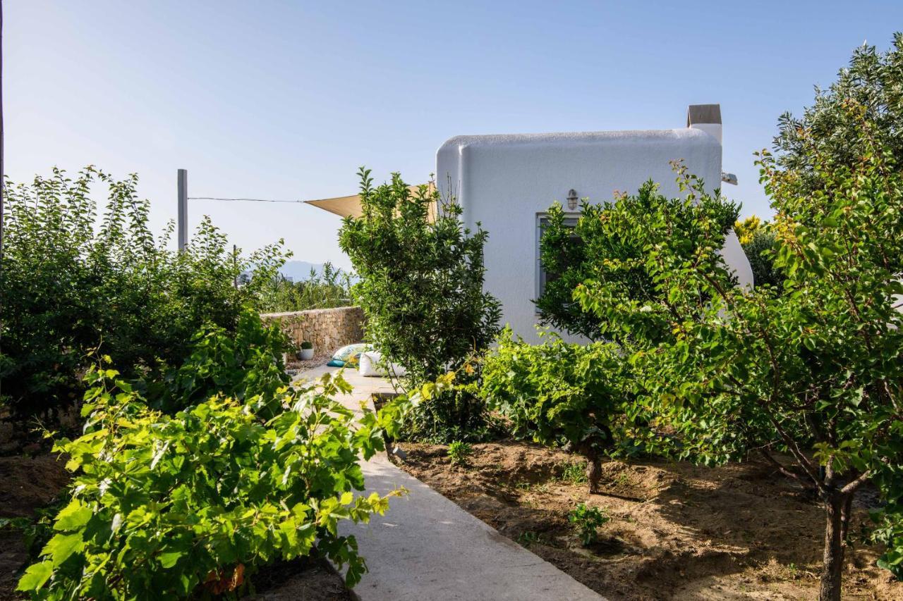 Live & Dream Villa Mykonos Town Екстериор снимка